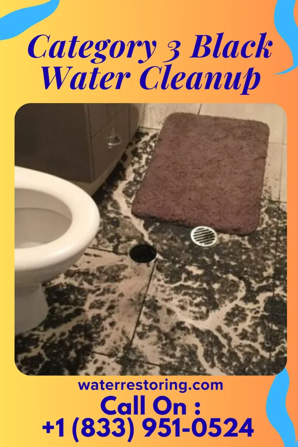 Category 3 Black Water Cleanup in Rushford, MN