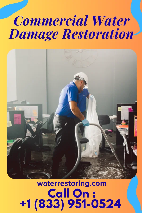 Commercial Water Damage Restoration in Rushford, MN