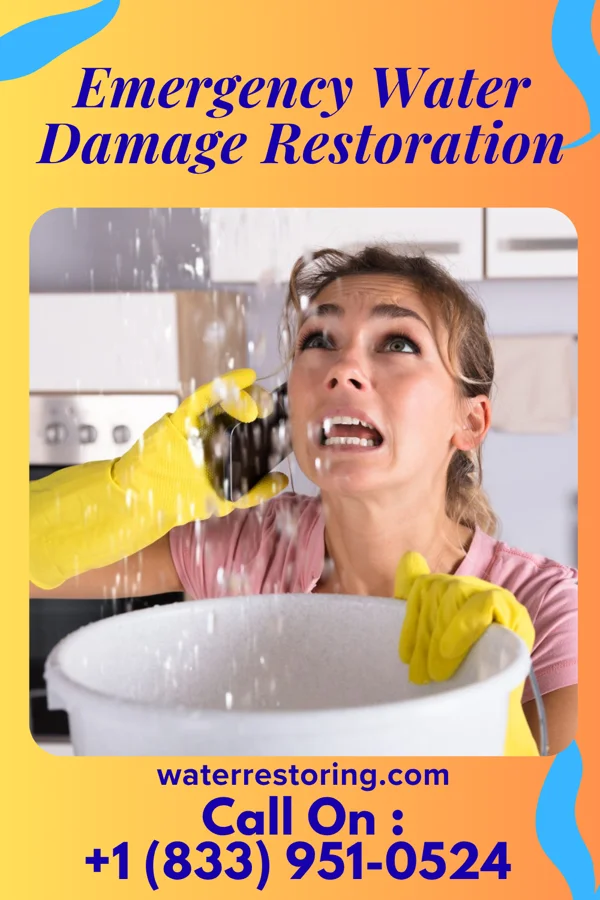 Emergency Water Damage Restoration in Rushford, MN